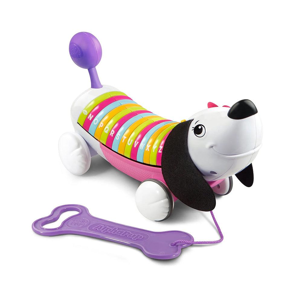 Toy dog with colorful body and purple bone-shaped tag on a white background